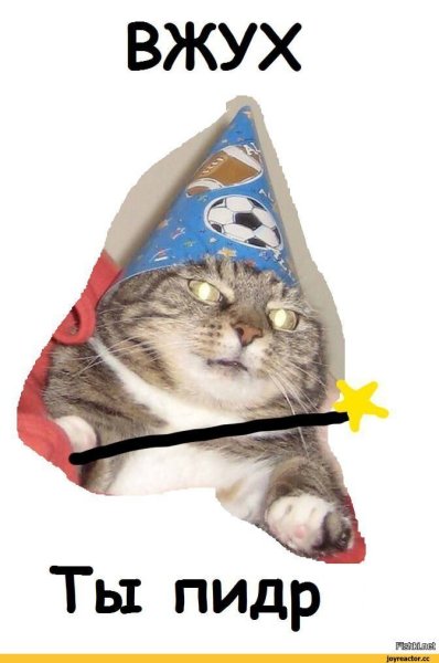 Кот вжух Мем