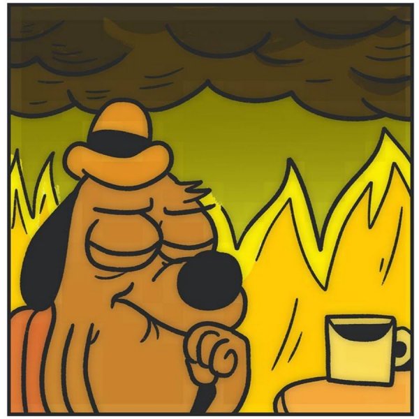 Мем собака в горящем доме