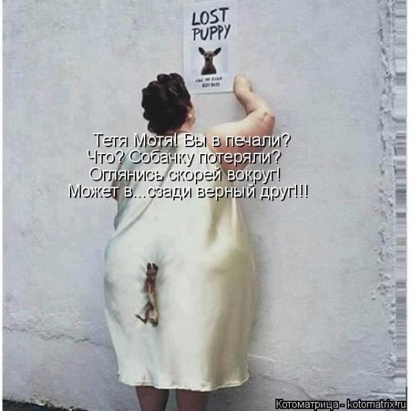 Пропала собака юмор