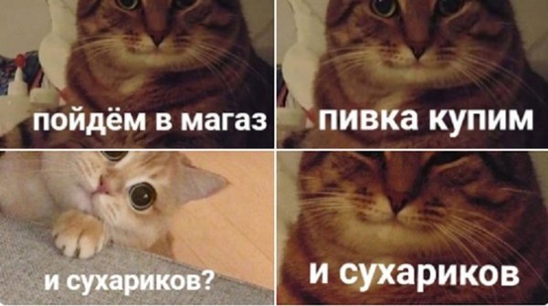 Добрый кот Мем