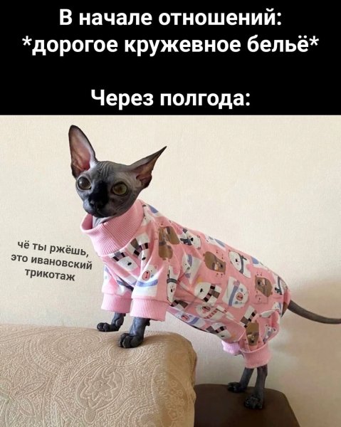 Смешные картинки