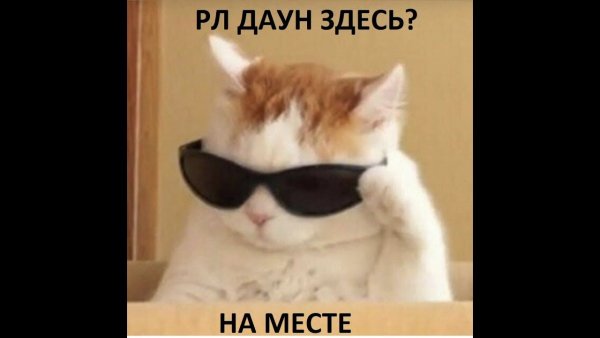 Кот в солнечных очках Мем