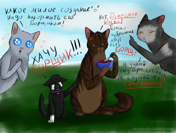 Бич коты Воители смешные