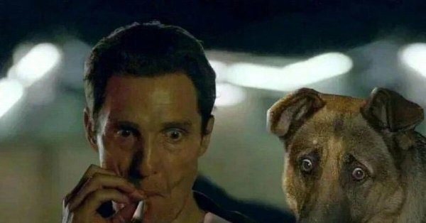 Мэттью Макконахи с собакой