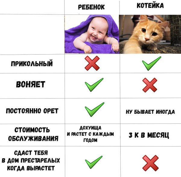 Мем собака ребенок сравнение