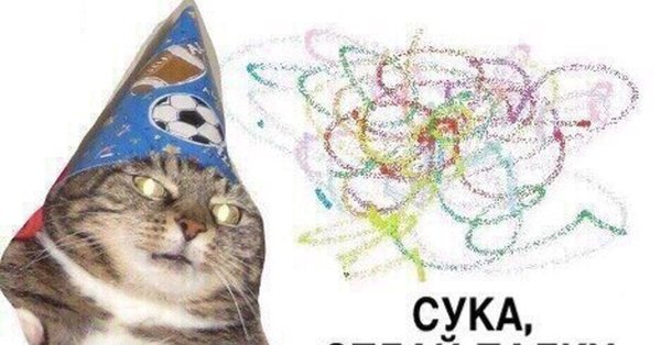 Кот вжух в хорошем качестве