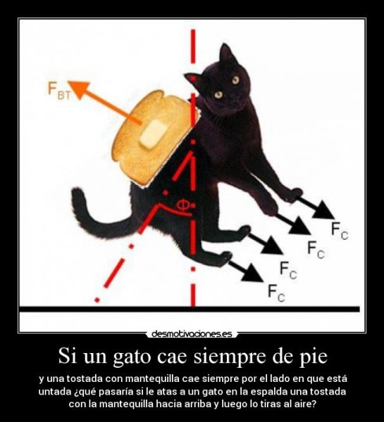 Парадокс кошки с маслом