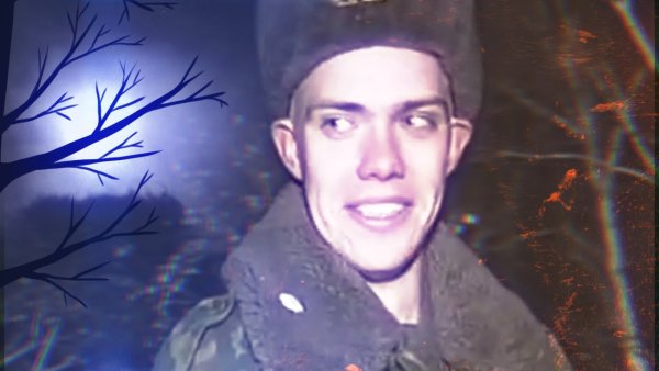 Я спас кота я выполнил приказ