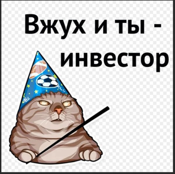 Котенок вжух