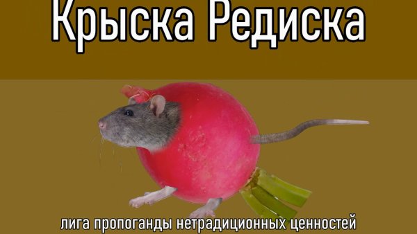 Мышка сосиска крыска Ириска