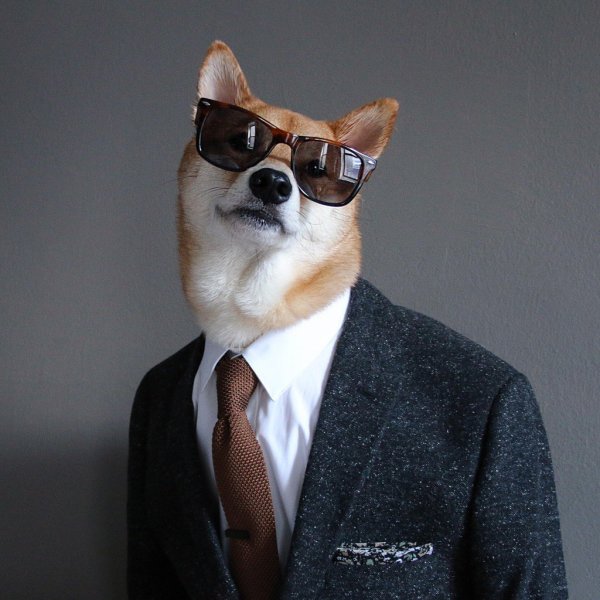 Костюм собаки