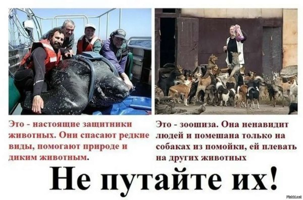 Шутки про зоозащитников