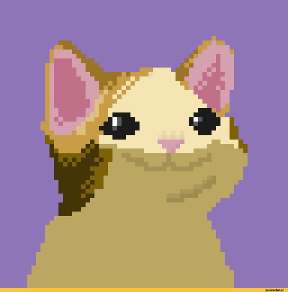 Кот пиксель арт
