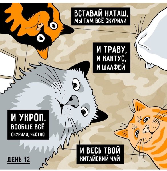 Наташа и коты