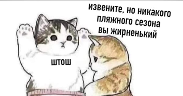 Мемы с котиками