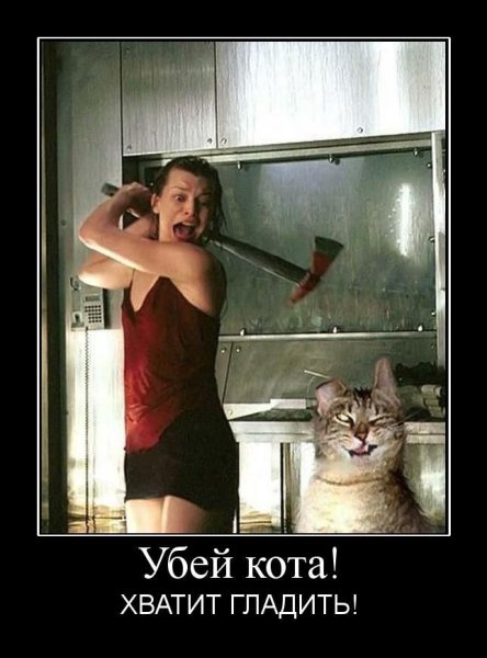 Кот с топором смешной