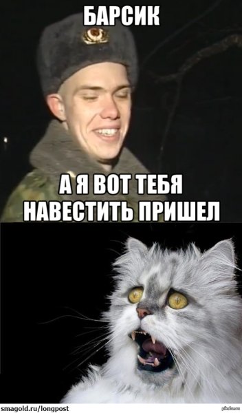 Солдат спасает кота Барсика