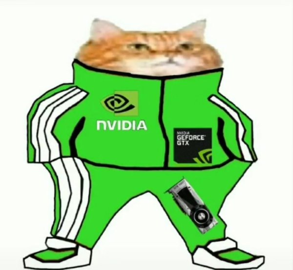 Кот в костюме АМД