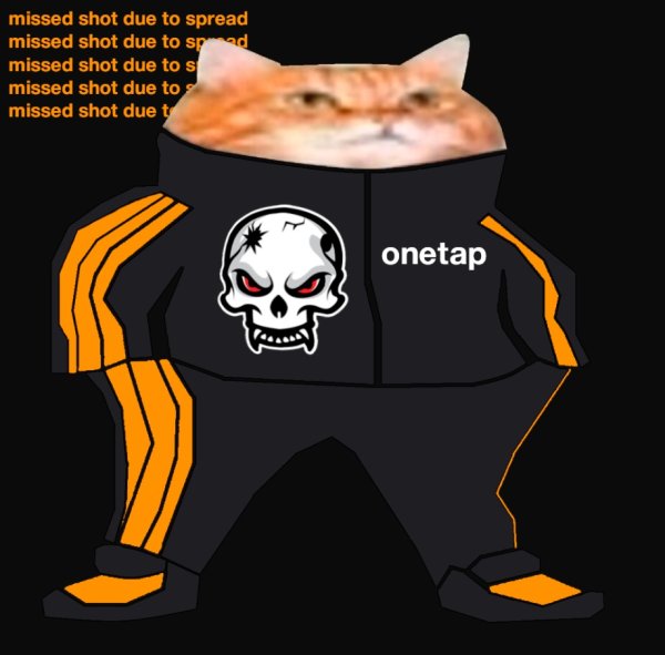 Кот в адидасе