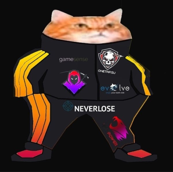 Кот в костюме JDM