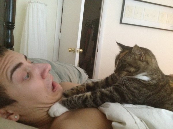 Кот душит человека