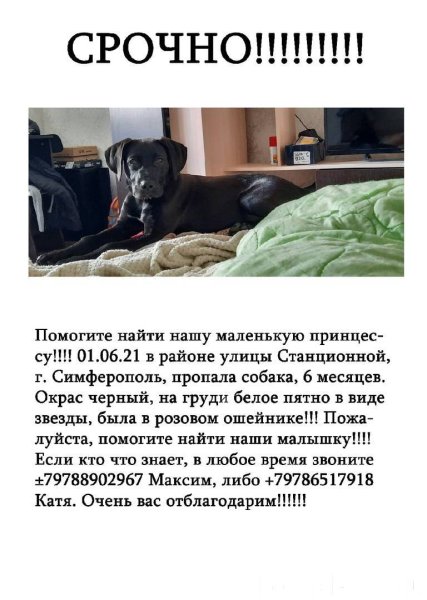Пропала собака помогите найти