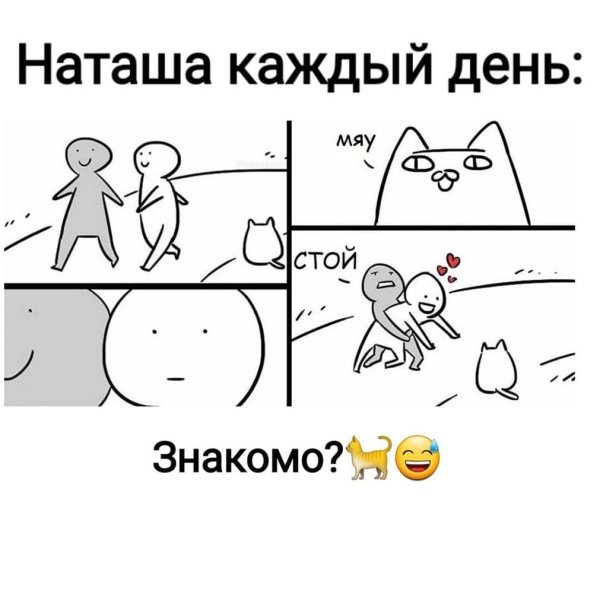 Наташа и коты мемы