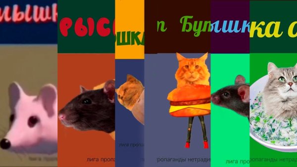 Мышка сосиска кот бутерброд