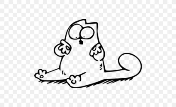 Смешные котики на белом фоне