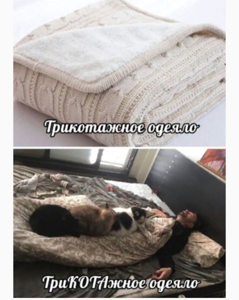 Трикотажное одеяло Мем с котами
