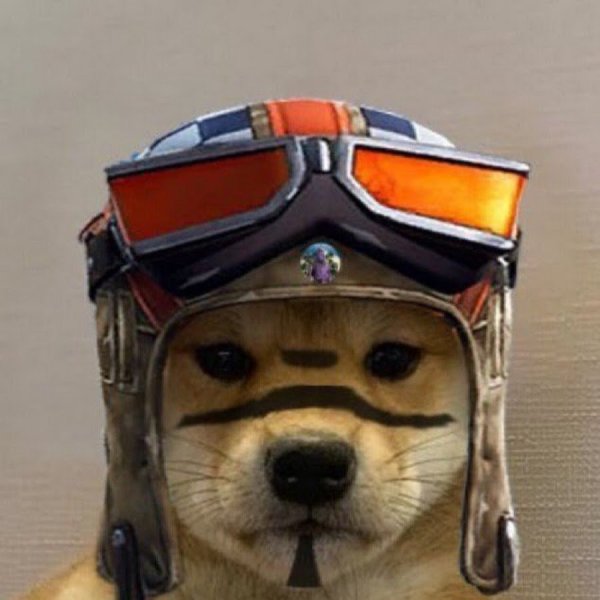 Собачка в каске