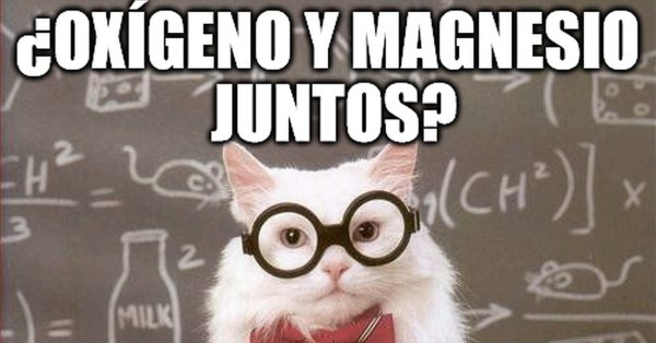 Спасибо за внимание по химии с котом