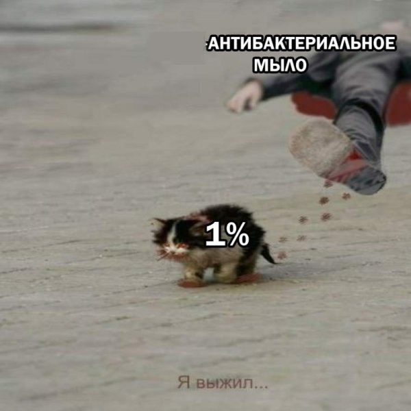 Я обязательно выжиживу