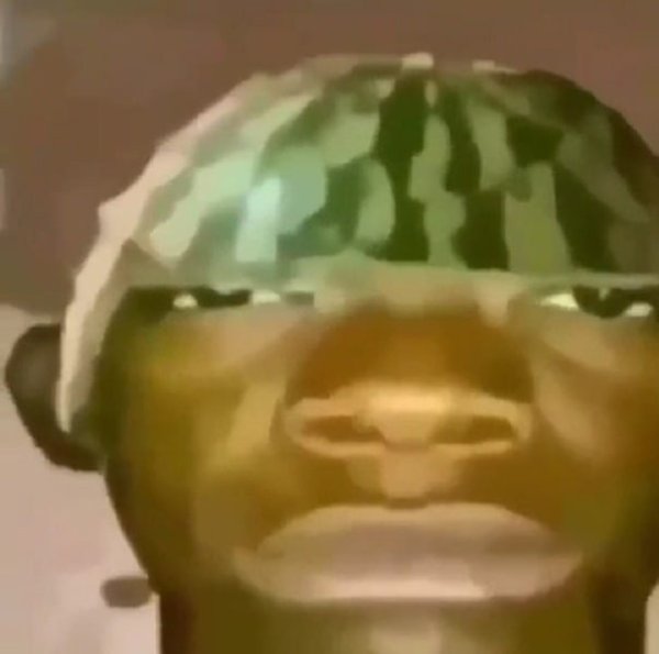 Арбуз на голове Мем