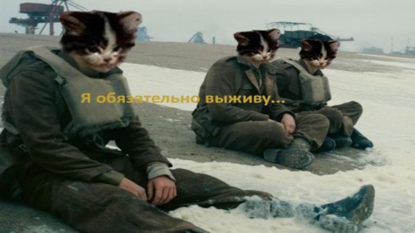 Я обязательно выживу Мем