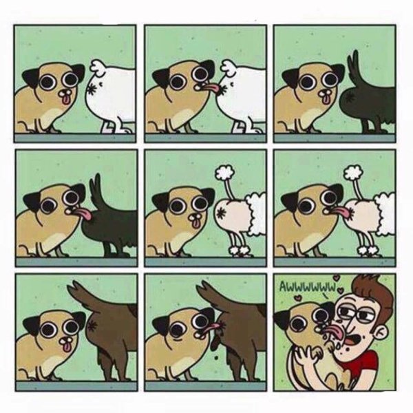 Комиксы про домашних животных