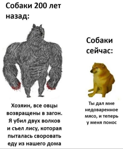 Собаки 300 лет назад