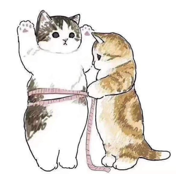 Кот и кошка рисунок