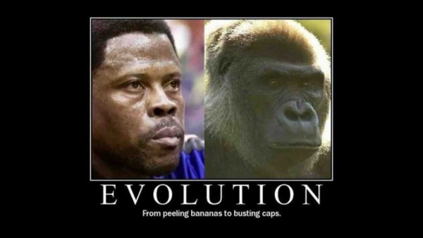 Негры и обезьяны сходства