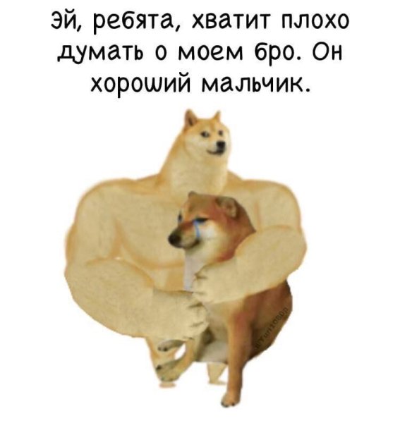 Мемы с собаками