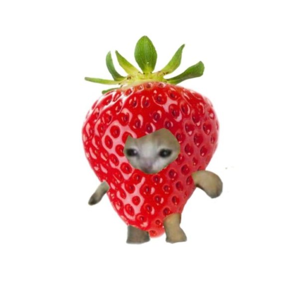 Кот клубника