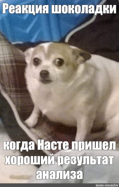 Некомфортно Мем с собакой