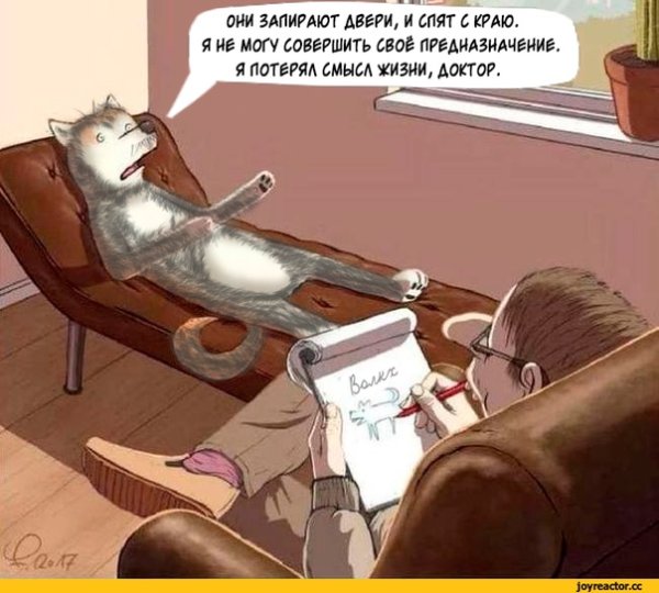 Собака психолог