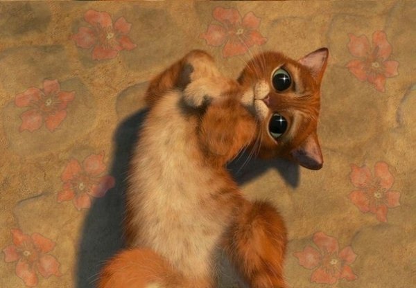 Прости засранку