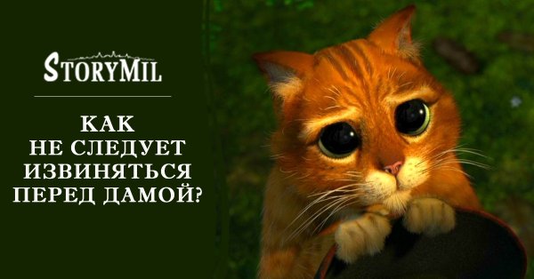 Кот из Шрека