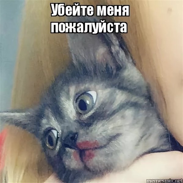 Пожалуйста Убей меня Мем