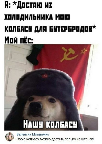 Собака колбаса