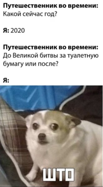 Напуганная собака Мем