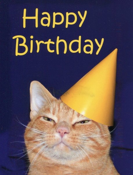 С днем рождения кошки
