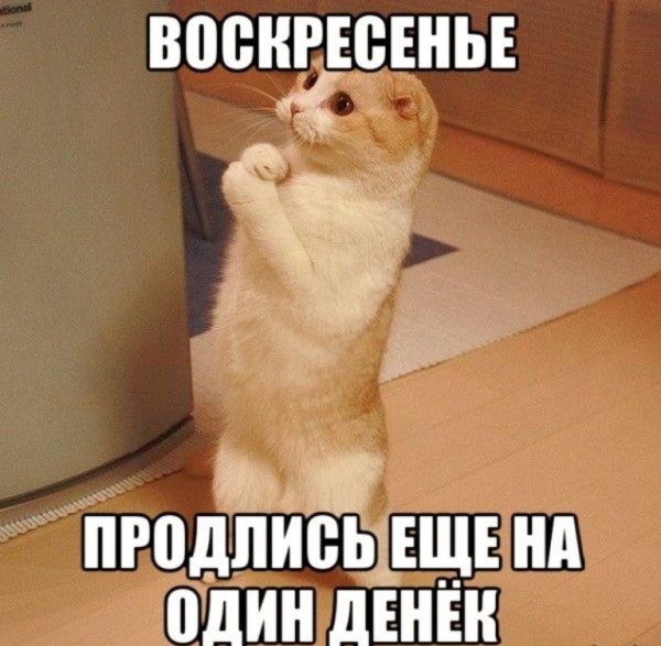 Олечка выздоравливай